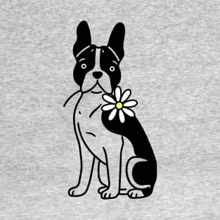 Boston Terrier T-Shirt